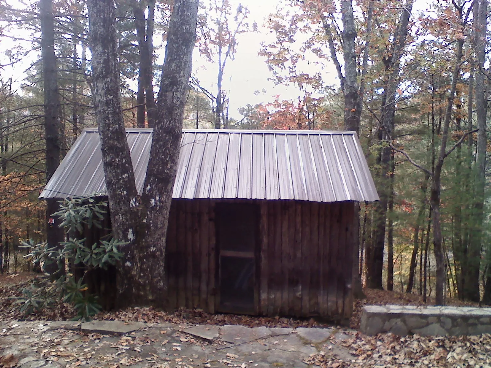 New metal gable roof on a small log shed among the trees in Dothan