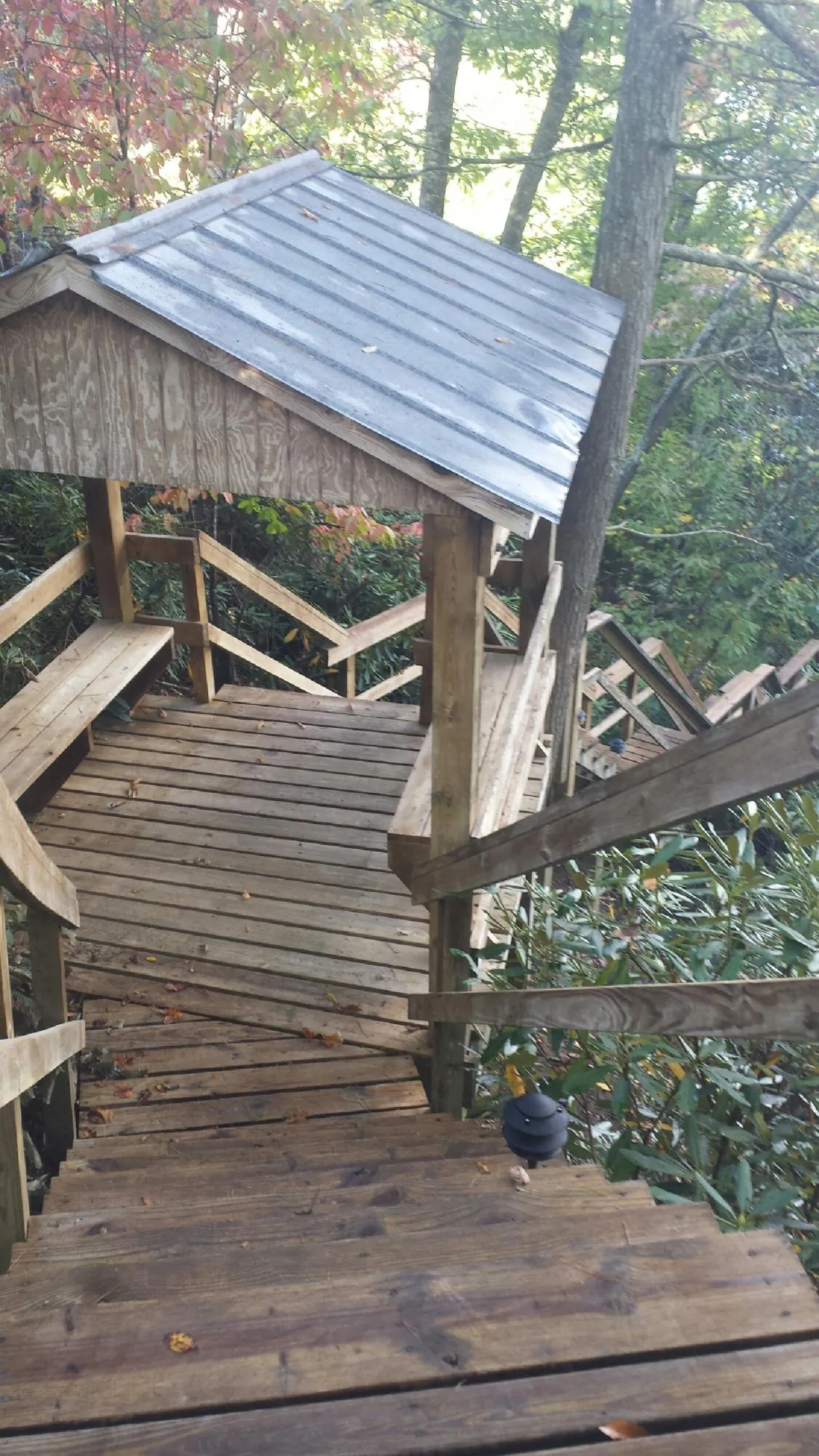 Metal roofed shelter over wooden steps on a wooded walkway — Skylight Repair & Installation work by our crew in Dothan